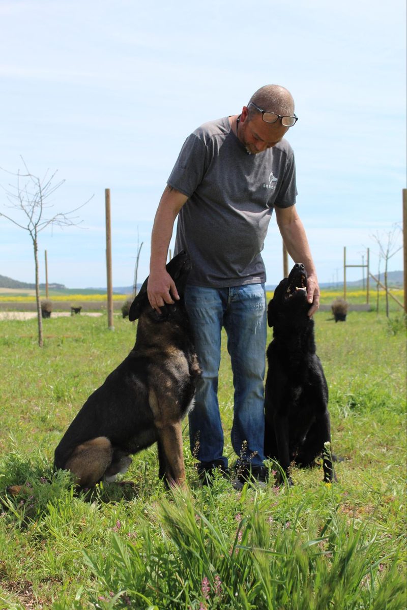 Eduardo trabajando con dos perros en las instalaciones de Lobocan